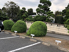 菅又クリニック駐車場2